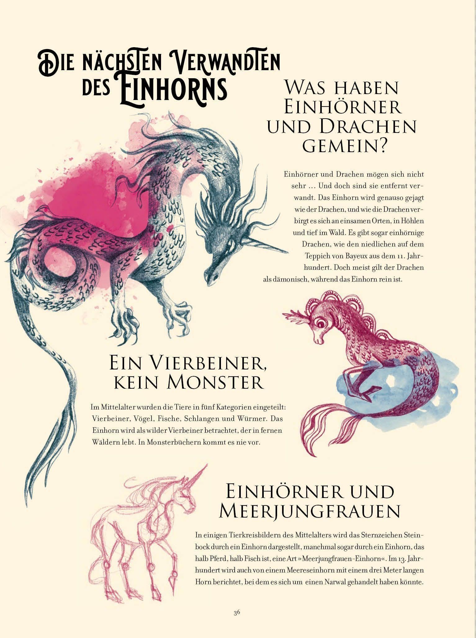 Einhörner: Enzyklopädie des Wunderbaren (Enzyklopädie des Wunderbaren: Herausgegeben von Benjamin Lacombe)