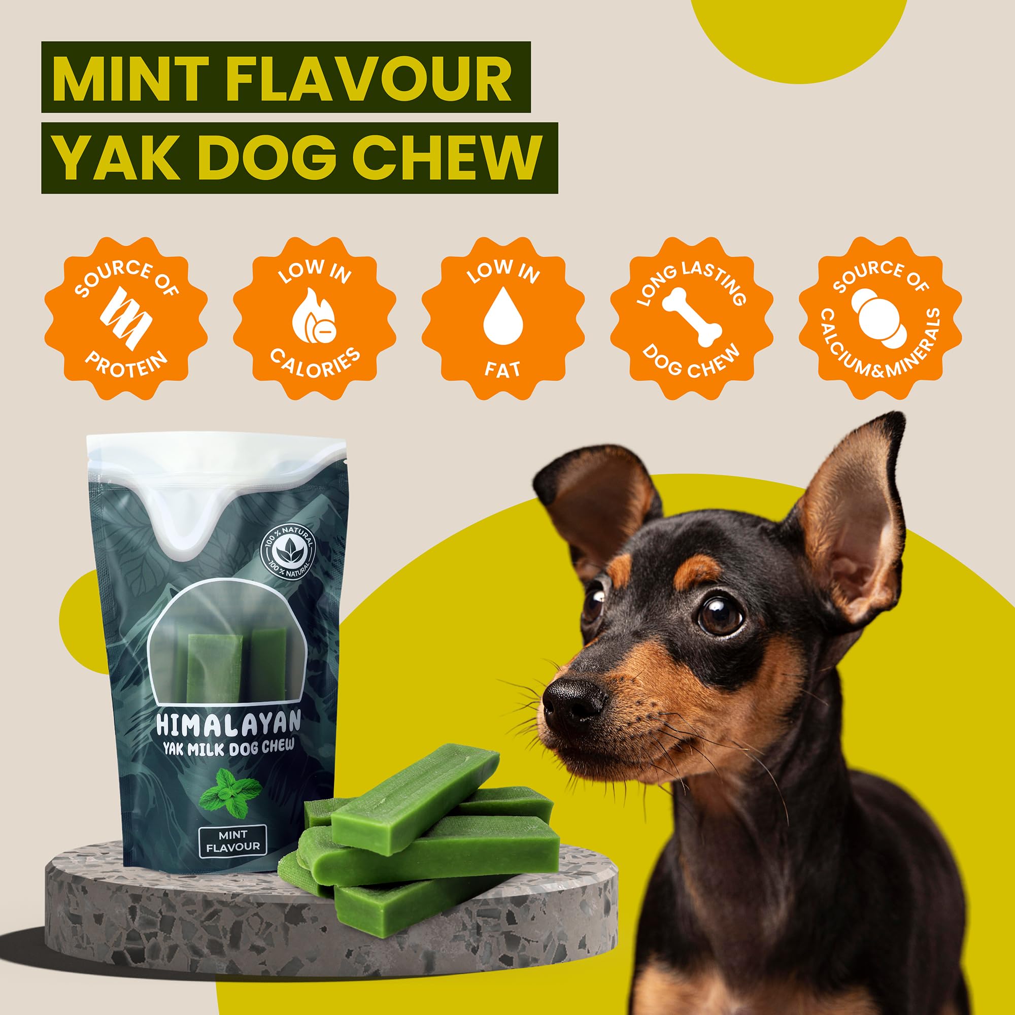 Himalayan Yak Milk Dog Chews, Mint Flavour, Yak Chews with Milk for Dogs Medium (pack of 3), Rich in Protein & Calcium - Image 3