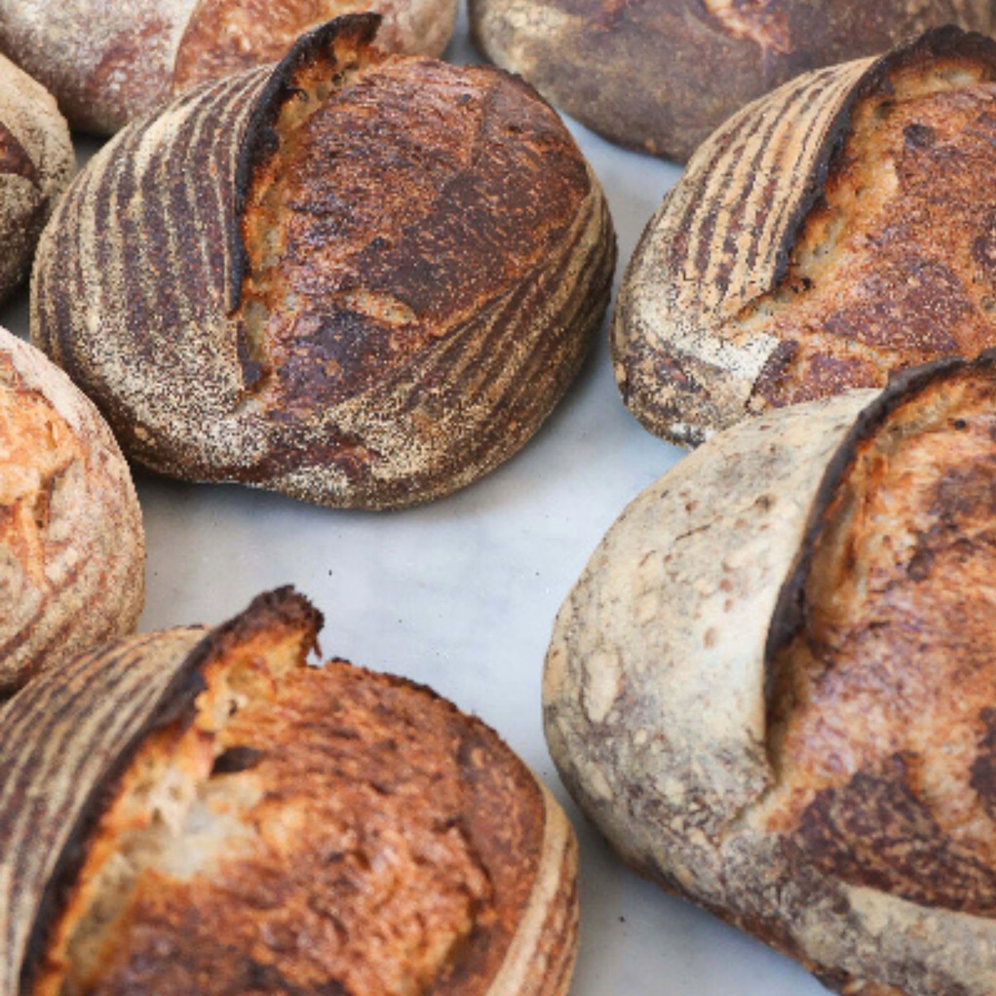 Kamelur Bio Einkorn ganz 500 g – Urgetreide aus kontrolliert biologischem Anbau – Ganze Einkorn Körner für Kochen, Backen & Mahlen