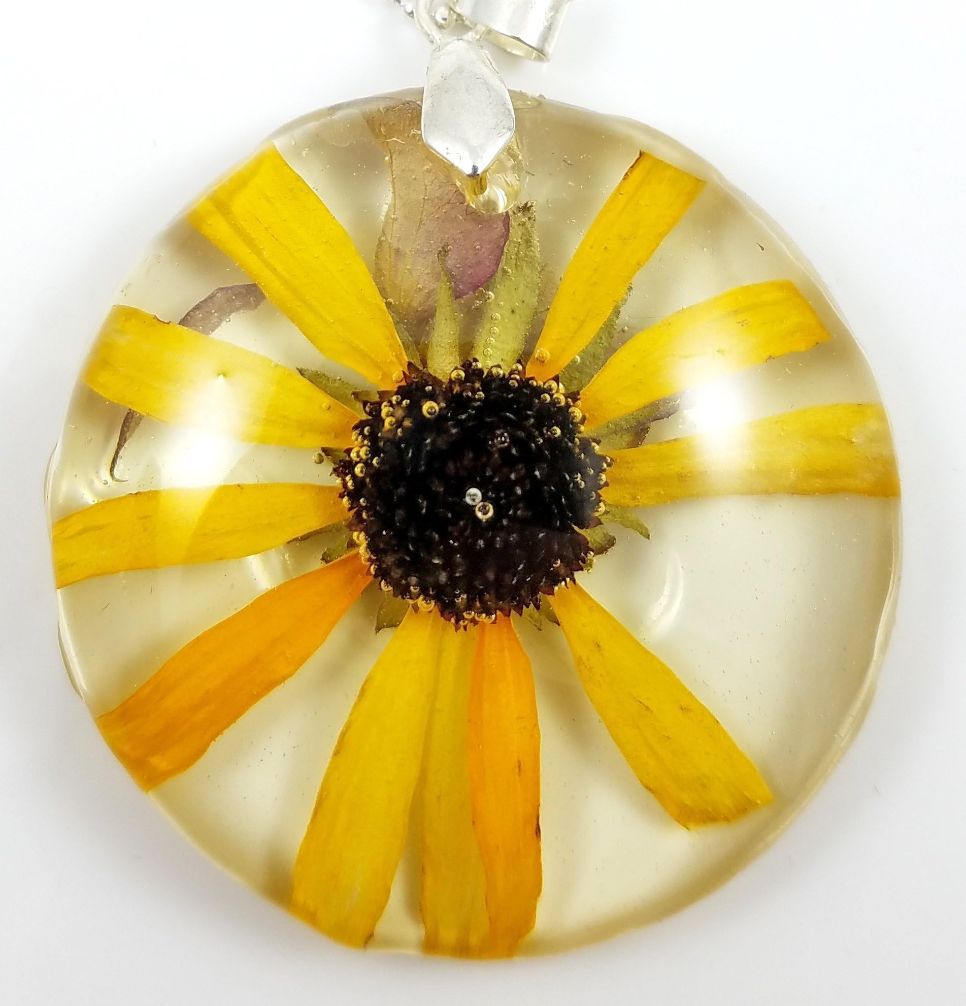 Real Black-Eyed Susan Flower Resin Round Domed Pendant Necklace Gift - Healer's Loving Touch