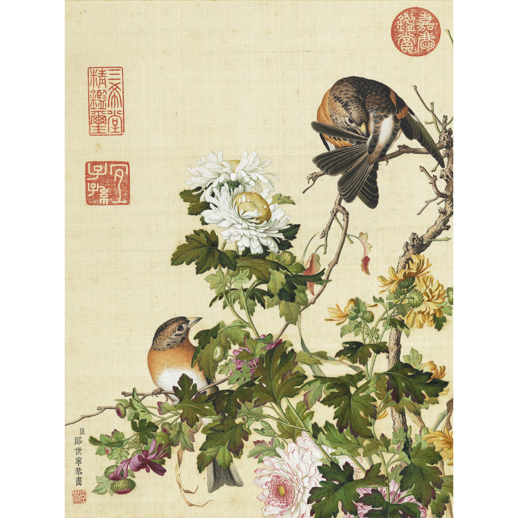 Castiglione Chrysanthemum Birds Painting Large Print Poster Wall Art Decor Picture