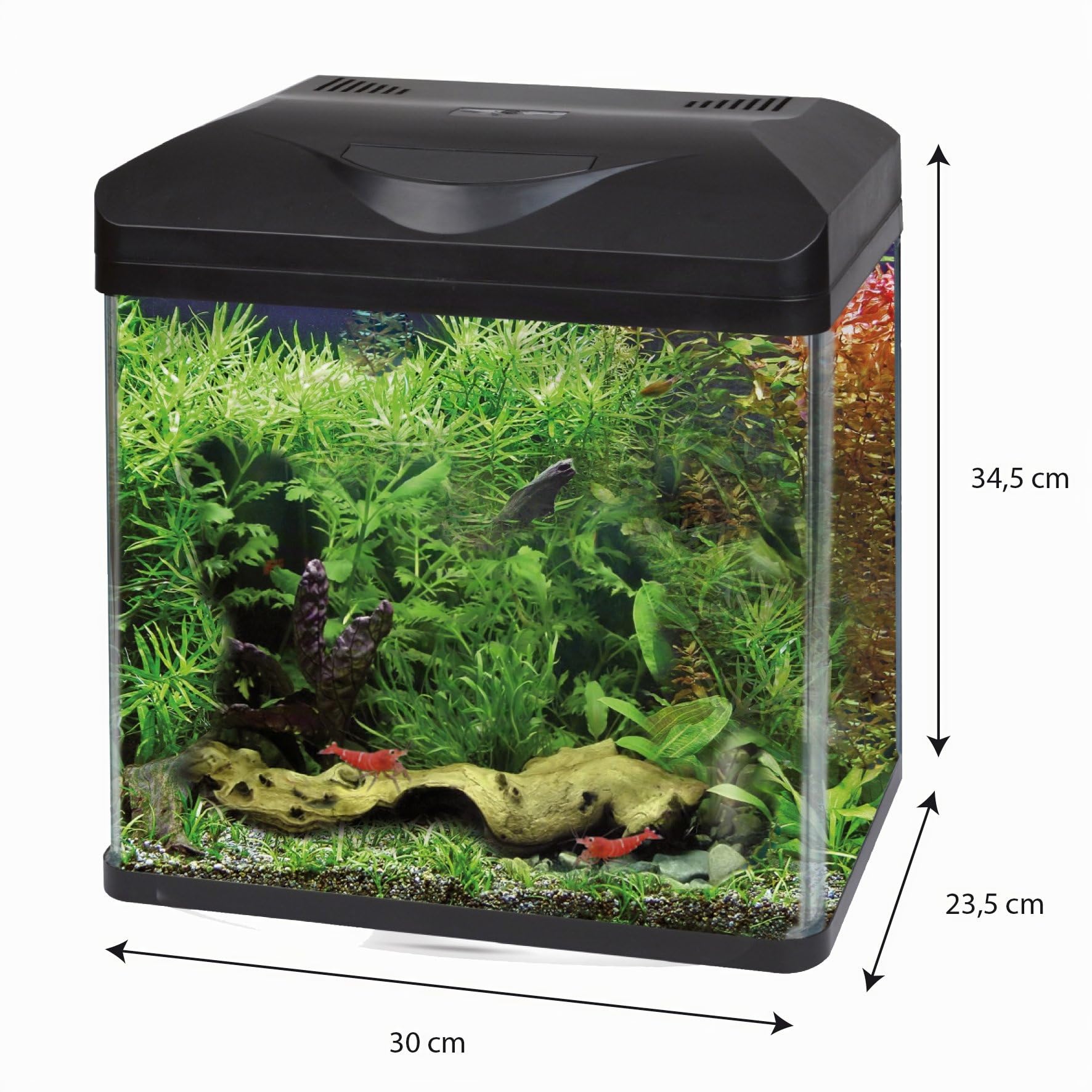 Amtra Laguna Led 30 - Acuario De Cristal De 18 Litros Con Tapa, Iluminación Led Y Filtro Incluido, 30X23,5X34,5 Cm, Negro