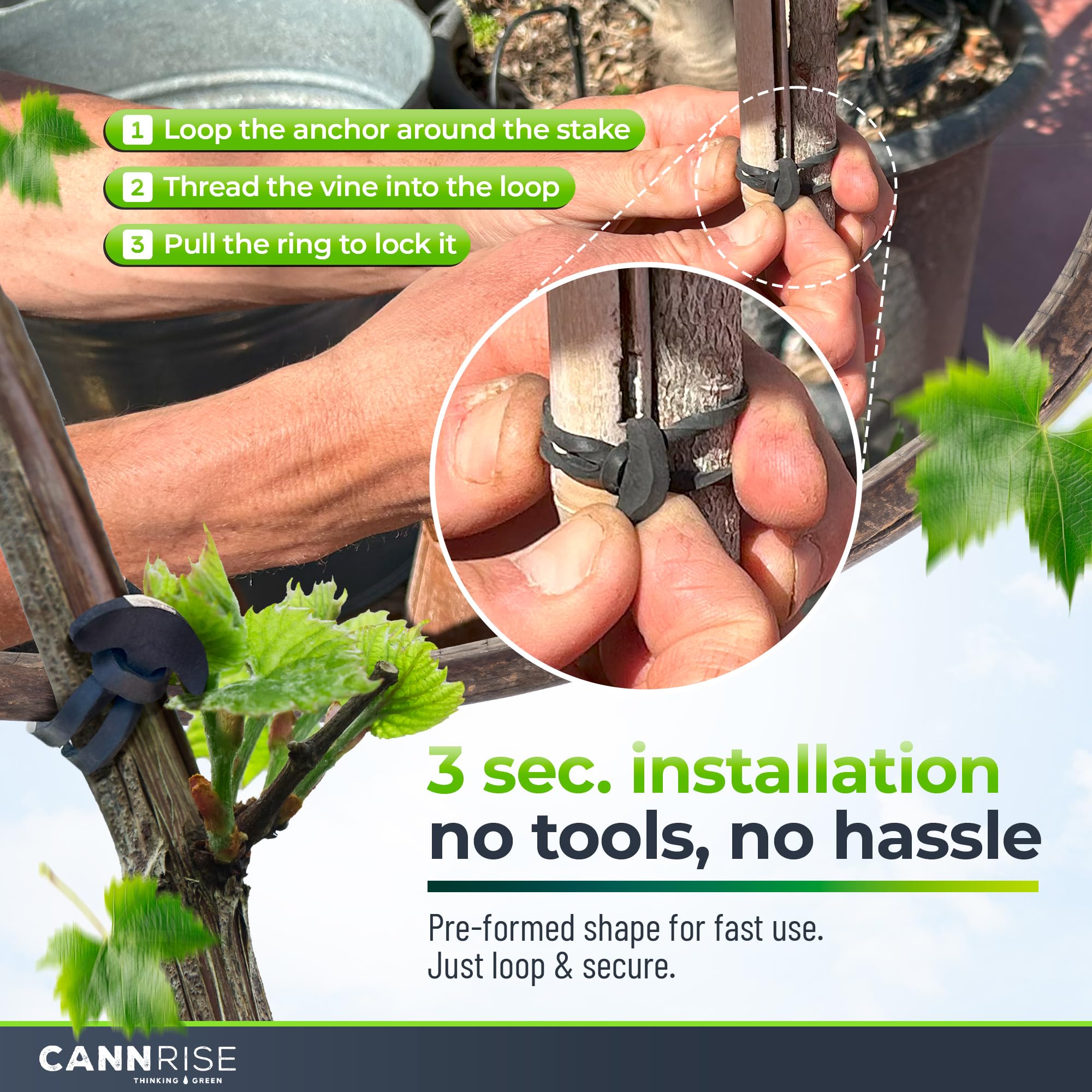 Amazon.com : Anchor Bands for Trellising - 33-Pack 12 cm/4.72 in Rubber  Vine Ties, UV-Protected Bands: Grapevines, Trees & Climbing Plants   Tool-Free Loop-and-Anchor Design for Install, Weatherproof : Patio, Lawn &