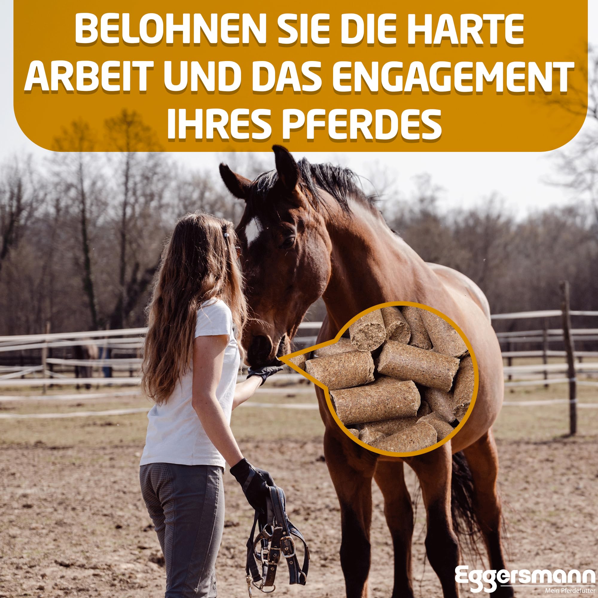 Eggers Muñeco Sabroso Bricks Zanahoria para Caballos, 1 Unidades (1 x 25 kg)