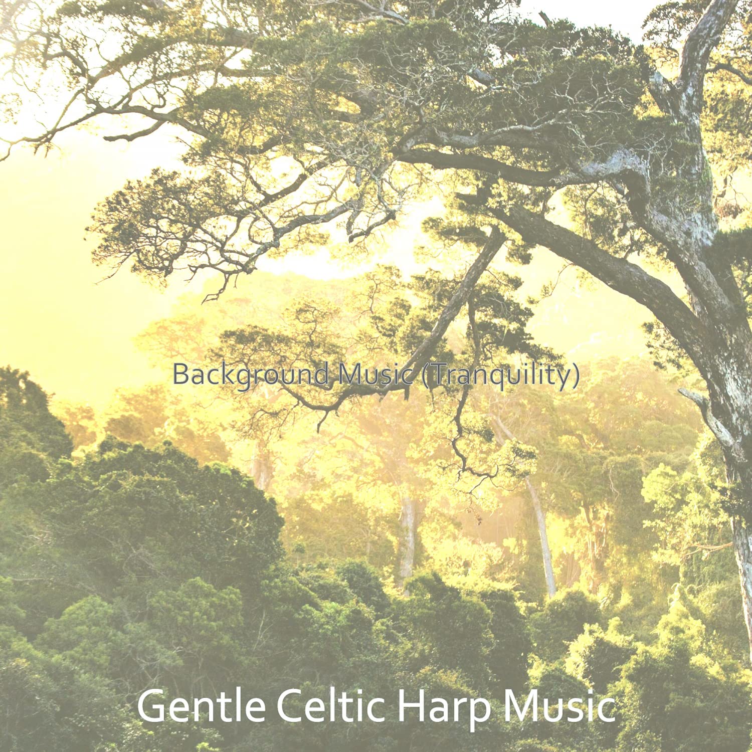 Gentle Celtic Harp Music