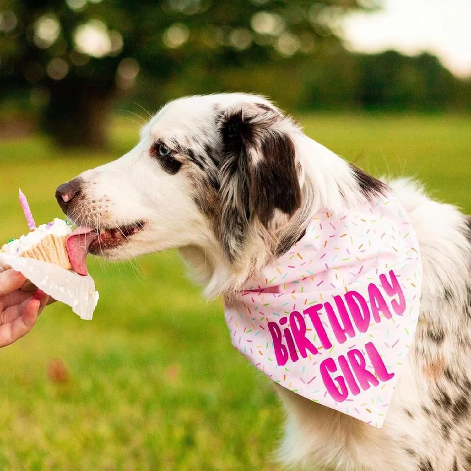 Birthday Girl Dog Bandanas 1 Pack, Pink Donut Theme Dog Scarfs Bibs, Triangle Reversible Pet Scarves for Birthday Girl Handkerchief for Small Medium Large Dogs (Pink, Large) image 3