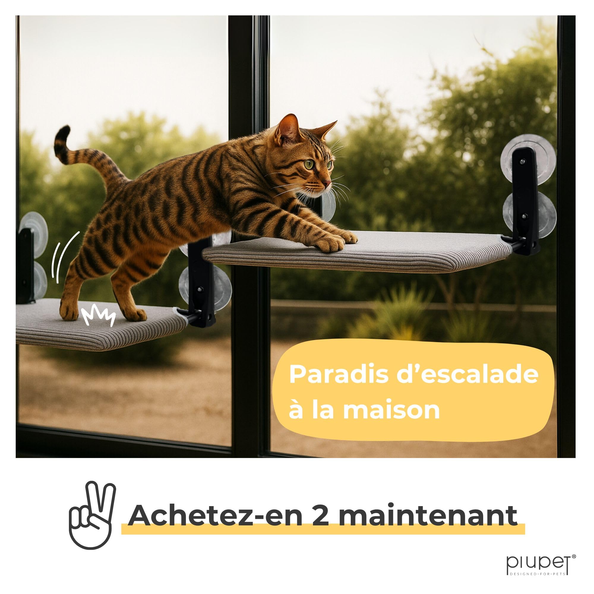 Chaise Longue Flottante pour Chats - Chaise Longue Pliable et Peu encombrante avec ventouses I Hamac réversible pour fenêtres en Gris et Vert I Lit pour Chats jusqu'à 20 kg | Hamac Chat Fenetre (Gris)
