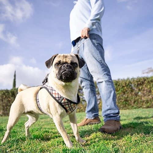 Miniatura 5 de Huxley & Kent Hudson Harness  High Street Plaid (extra grande, 35-50 libras)  Arnés de malla fácil de controlar para perros con tiras reflectantes