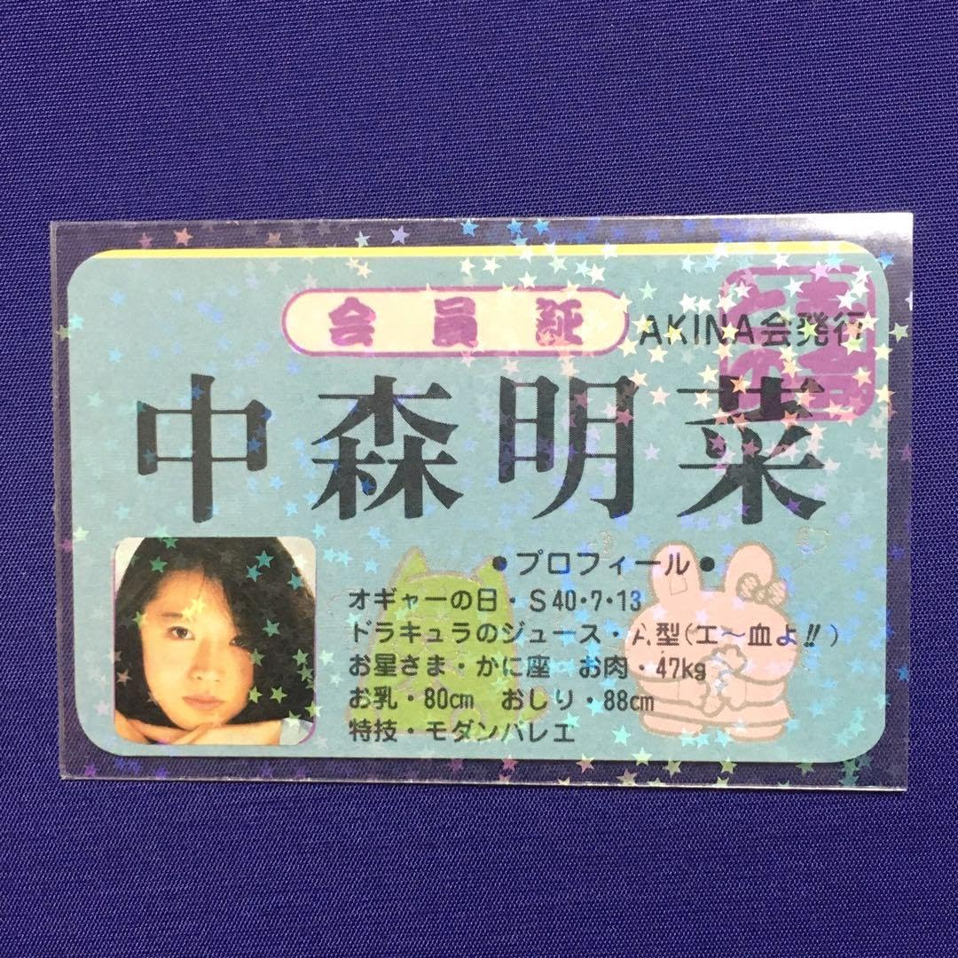 中森明菜 免許証キーホルダー 希少｜アイドル