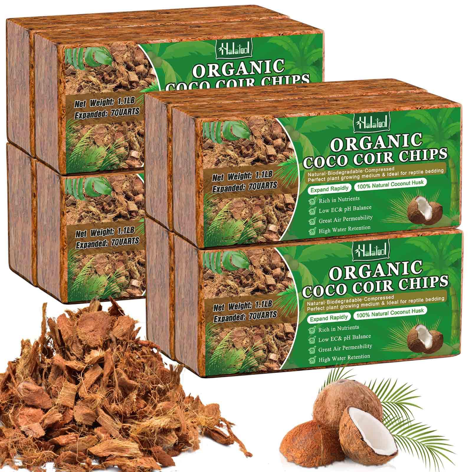 Halatool Coco Husk Chips
