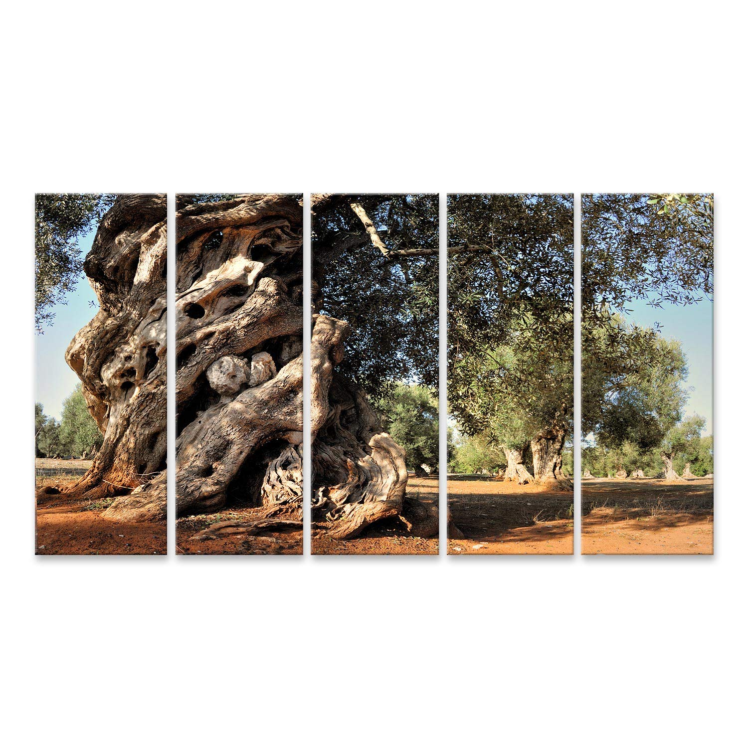 Islandburner Wandbild Auf Leinwand Olivenbaum Zweige Mit Reifen Oliven -  Edition F1 Premium Canvas