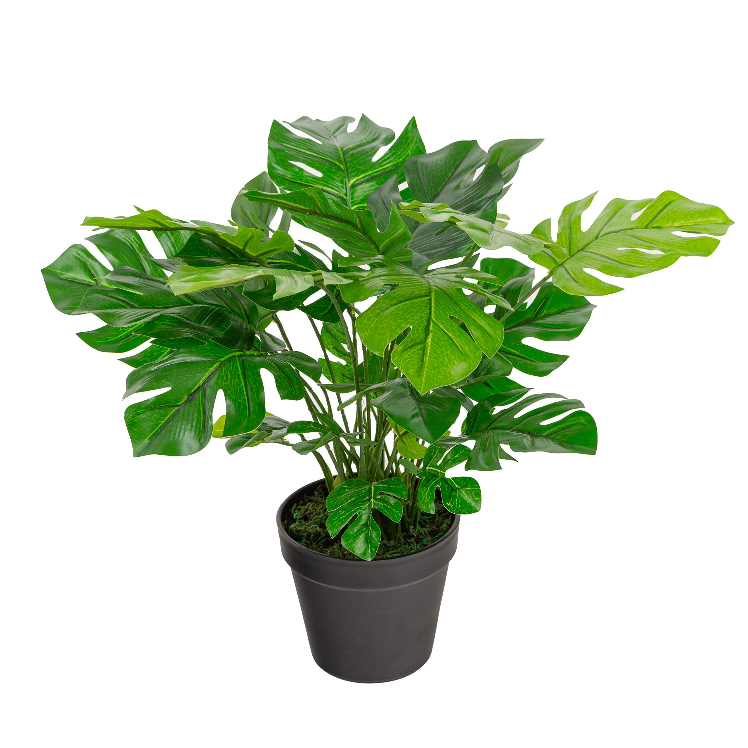 Closer2Nature Artificial 1ft 5'' Mini Swiss Cheese Plant, Green - Faux Decoration Plants for Indoors in Home, Kitchen, Lounge and Office