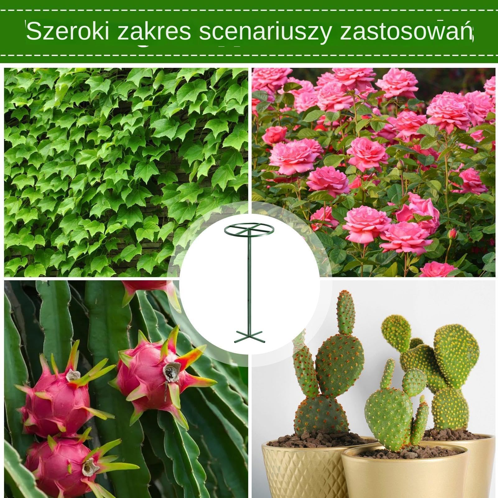 Ogrodowa rama wspinaczkowa, pionowa podpora dla roślin, metalowa krata z mocnymi prowadnicami winorośli, dekoracyjna struktura wzrostu, stojak na smocze owoce z wykończeniem odpornym na rdzę, akcesori