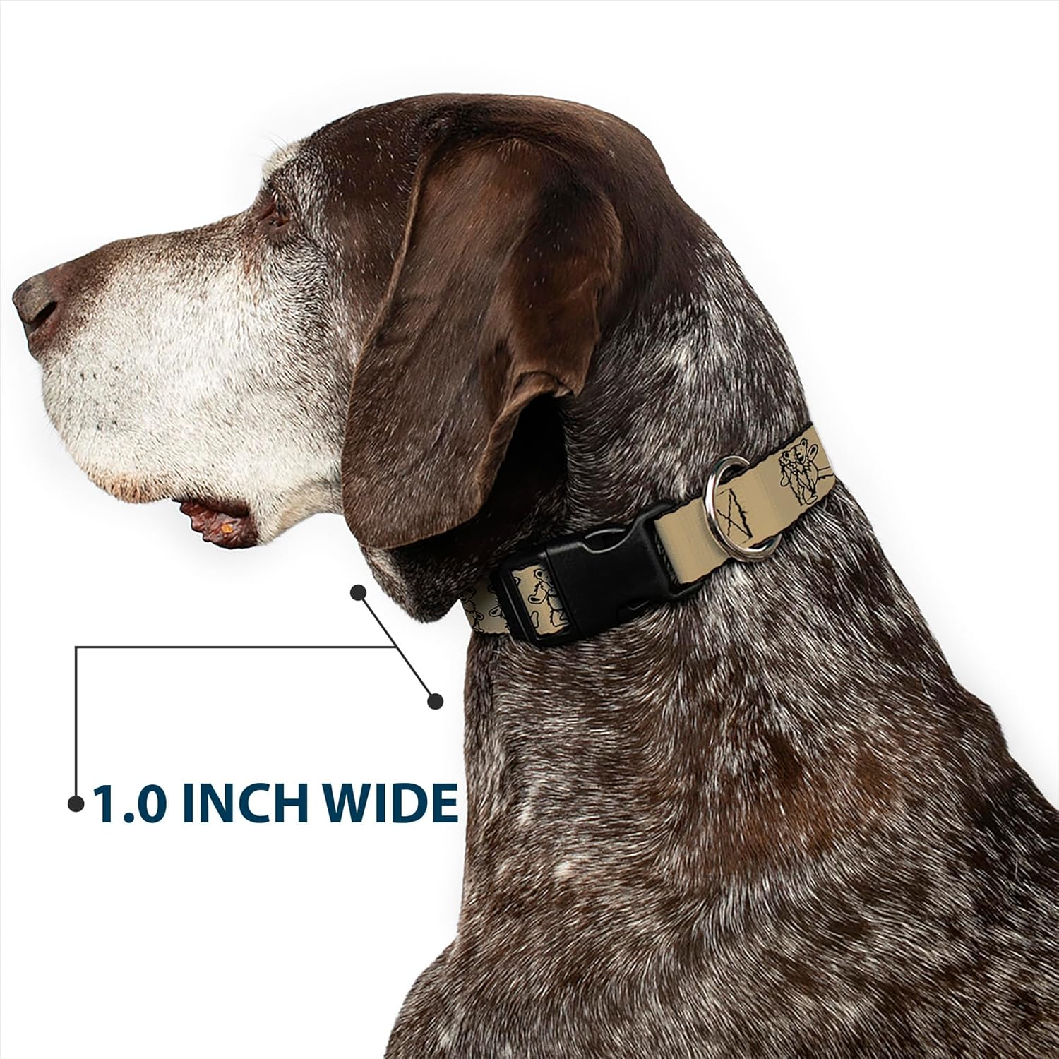 Buckle-Down Dog Collar Plastic Clip Dancing Bears Tan Black 18 to 32 Inches 1.5 Inch Wide, Multicolor, PC-WGD003-WL, 1.5" Wide - Fits 18-32" Neck - Large