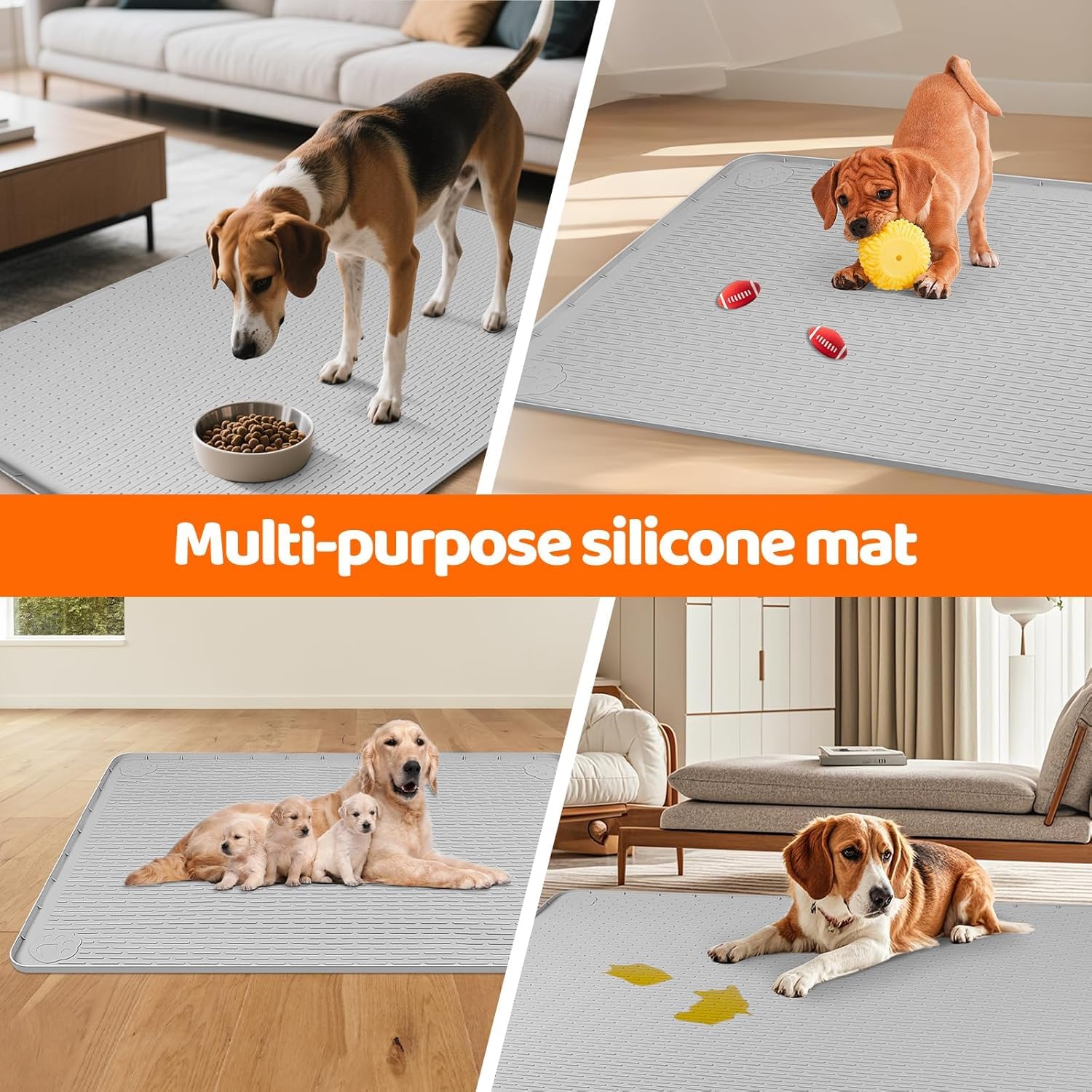 View 5