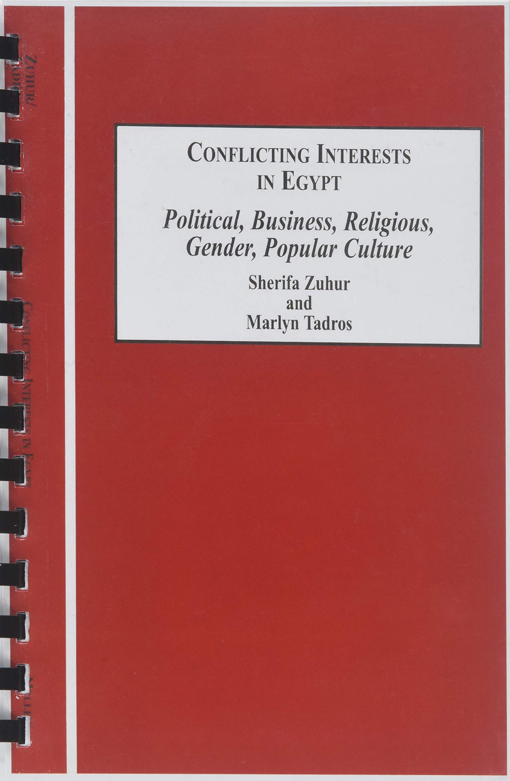 Conflicting Interests in Egypt