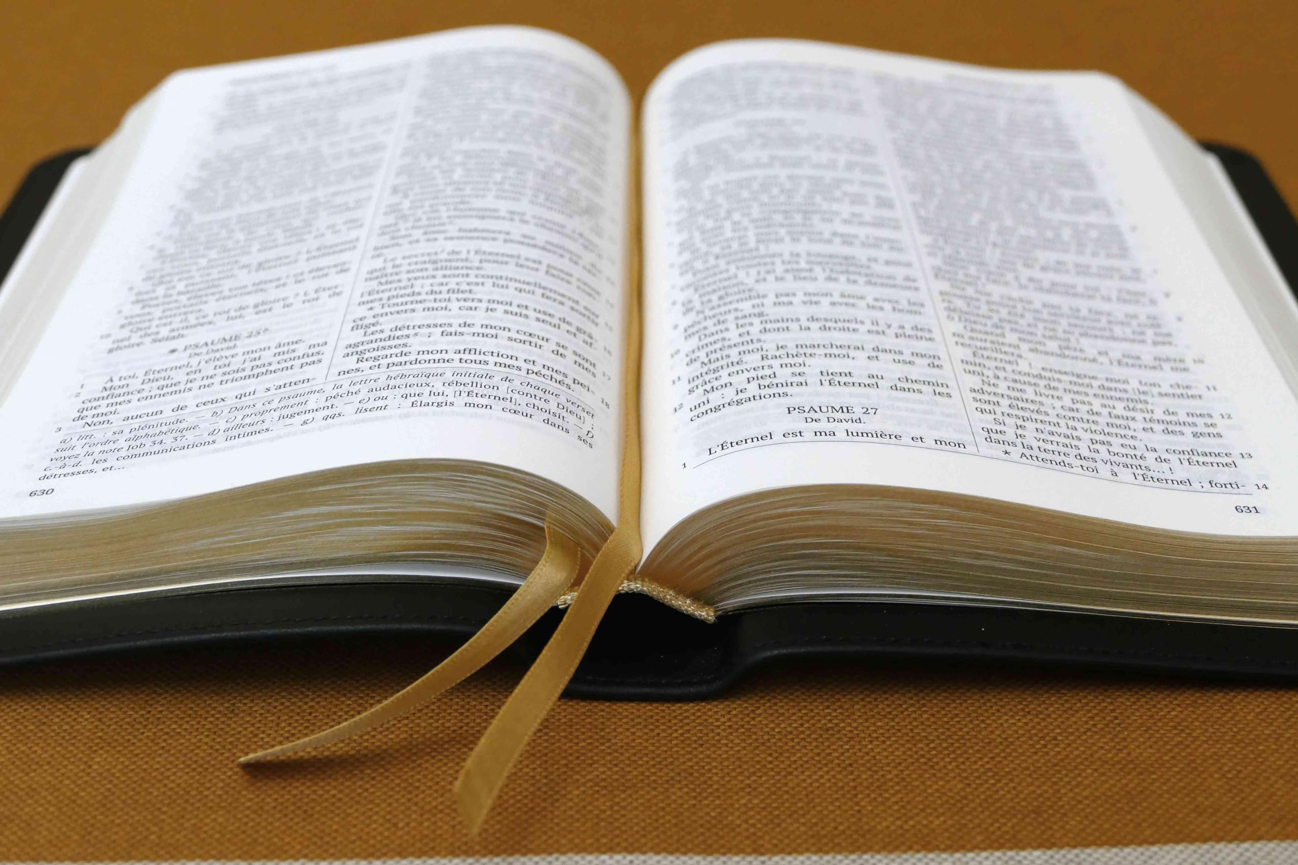 Sainte Bible Darby En Français For Android - Download