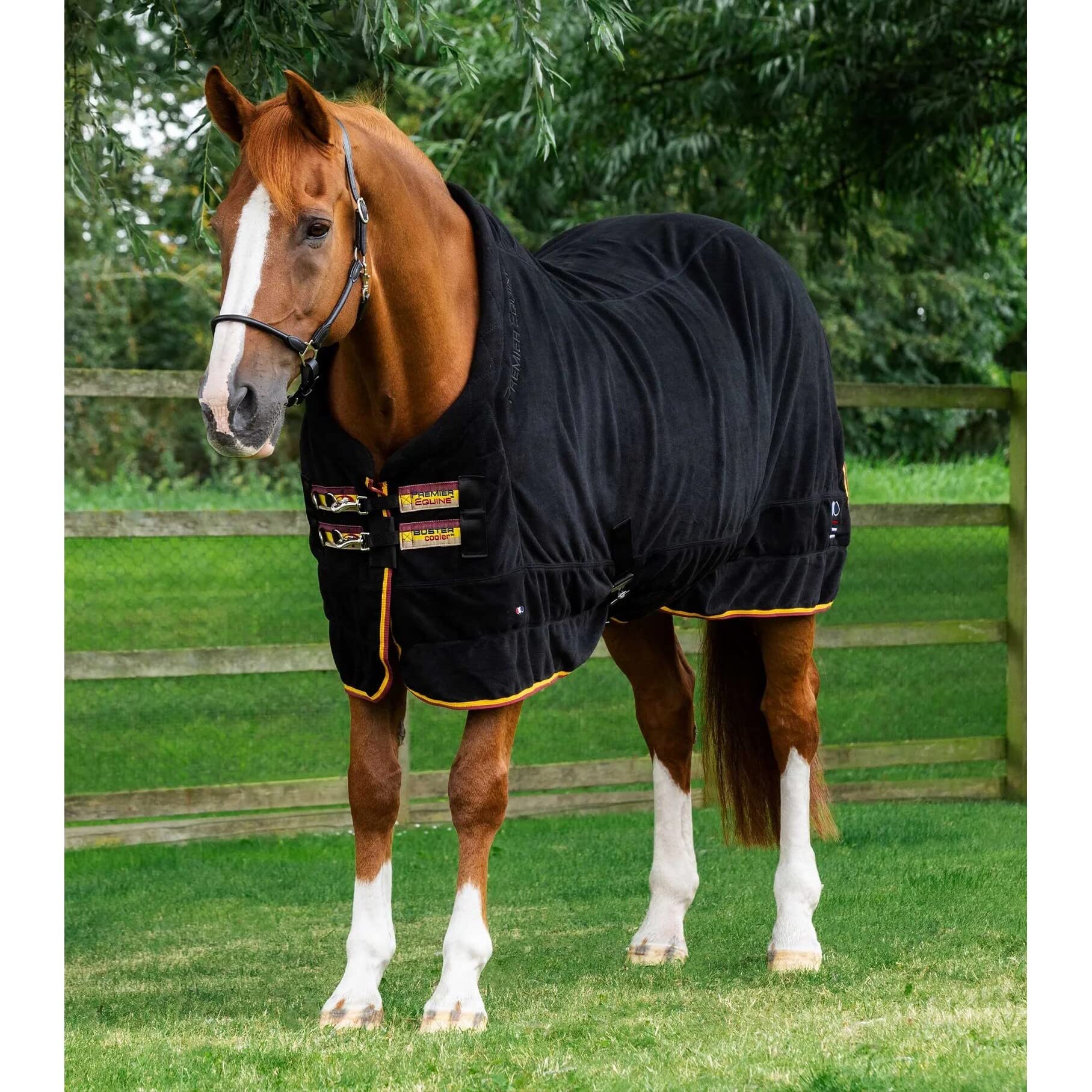 Coperta in pile asciugante per cavalli Premier Equine Buster Continental 280g