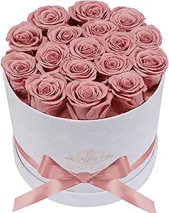 17 Flowers in a Luxury Suede Box, Birthday Gifts for Women, Preserved Flowers, Mothers Day Roses Gift for Mom, Dusty Rose