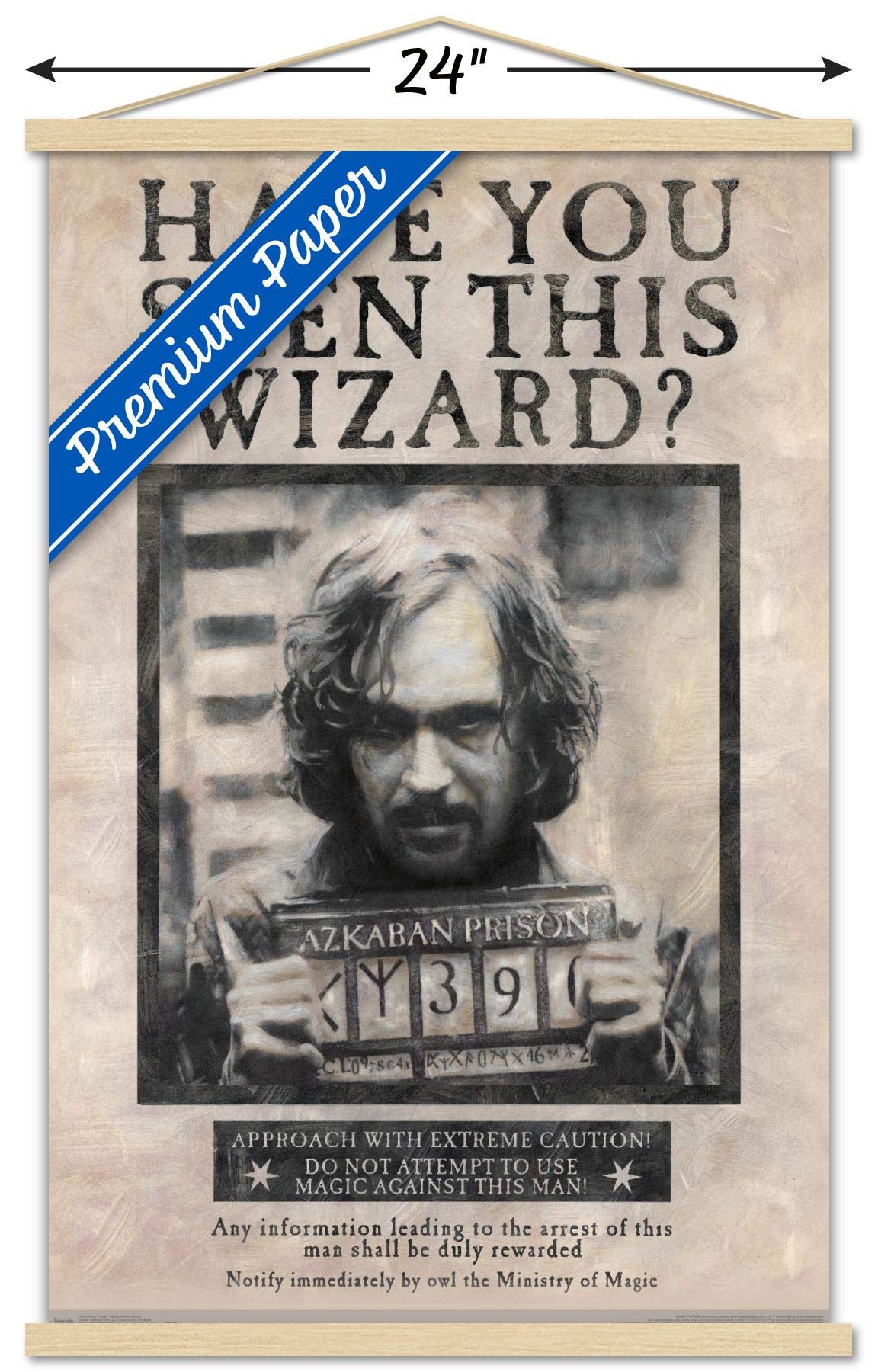 Amazon.co.jp: Trends International The Wizarding World:ハリー