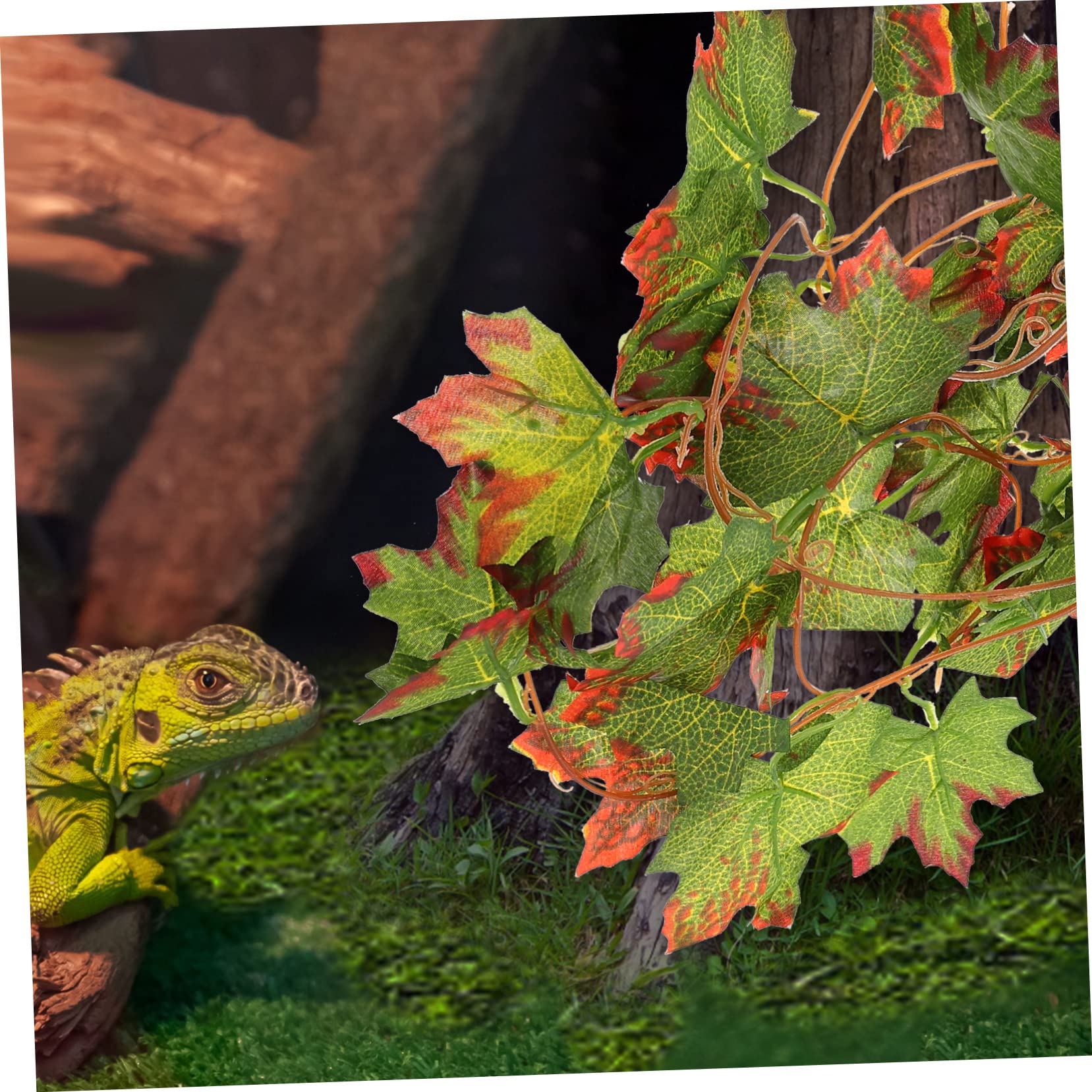 Supvox 5stücke Terrarium Pflanze Künstliche Reptilien Landschaft Pflanzen Mit Saugnapf Für Geckos Und Echsen Terrarium Dekoration Für Reptilienhabitate