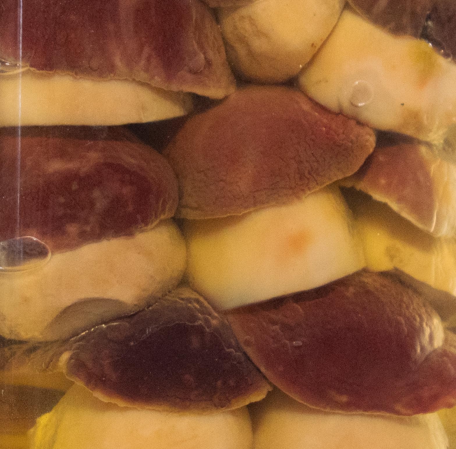 Funghi porcini testa nera INTERI sott'olio di oliva da kg 1,6