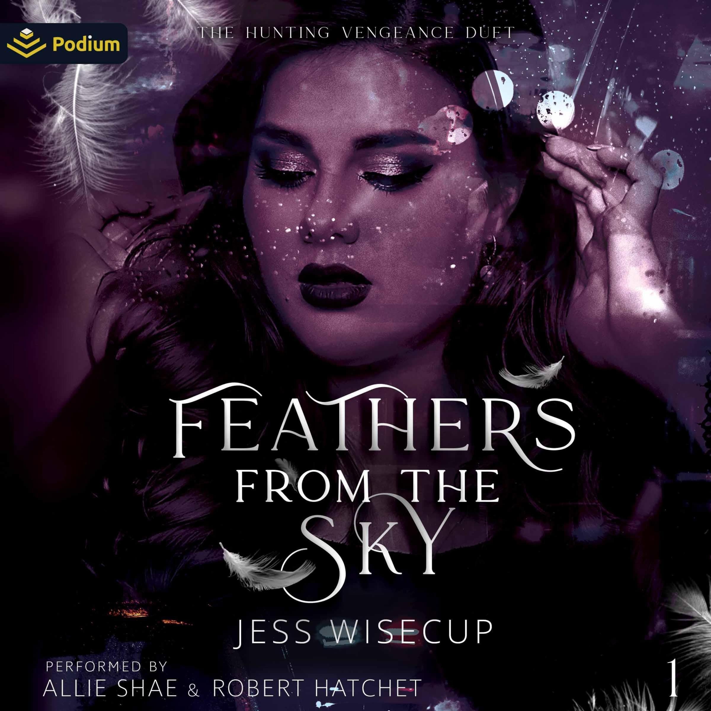 Cover art for Feathers from the Sky