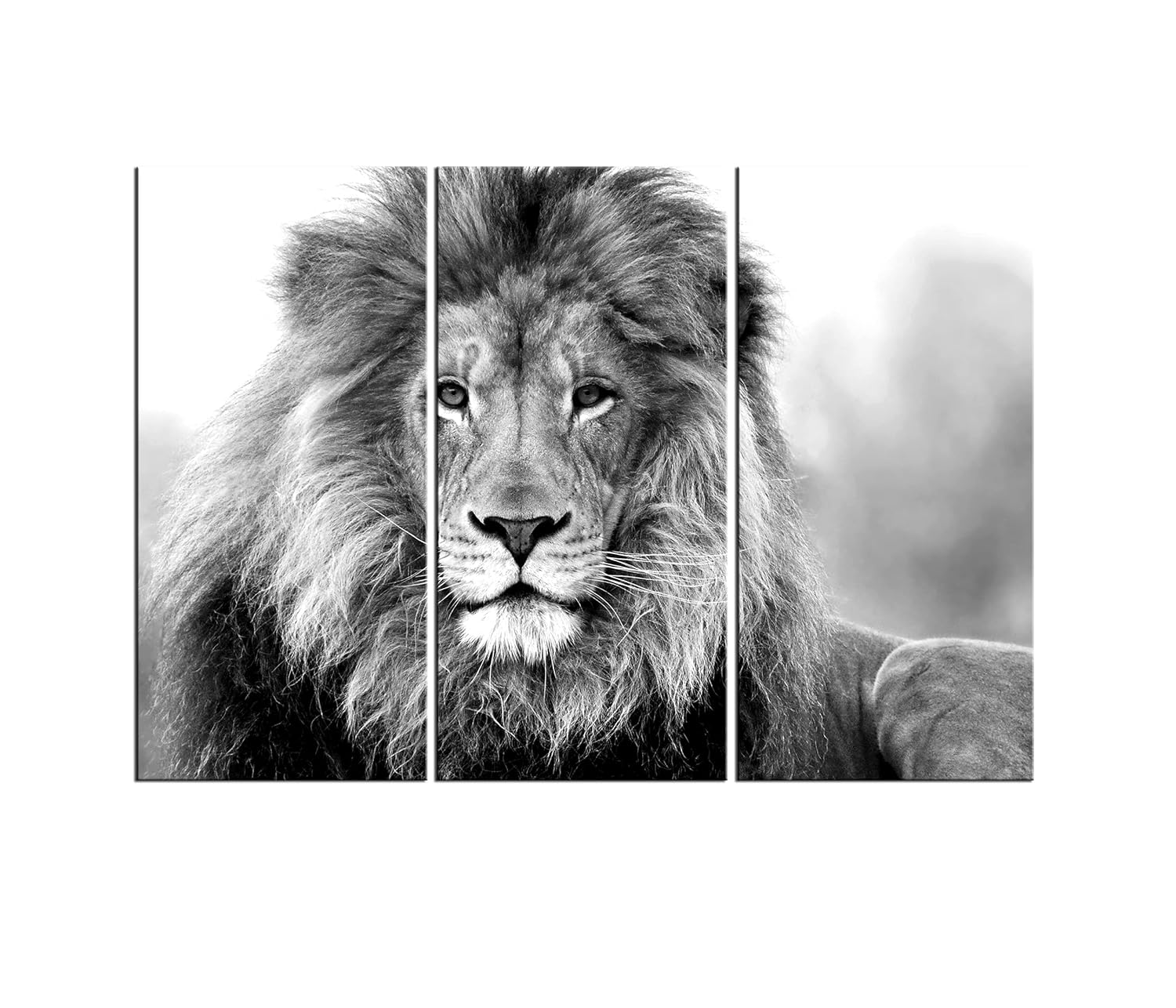 Large Black And White Wall Art Canvas, Lion Wall Art Canvas