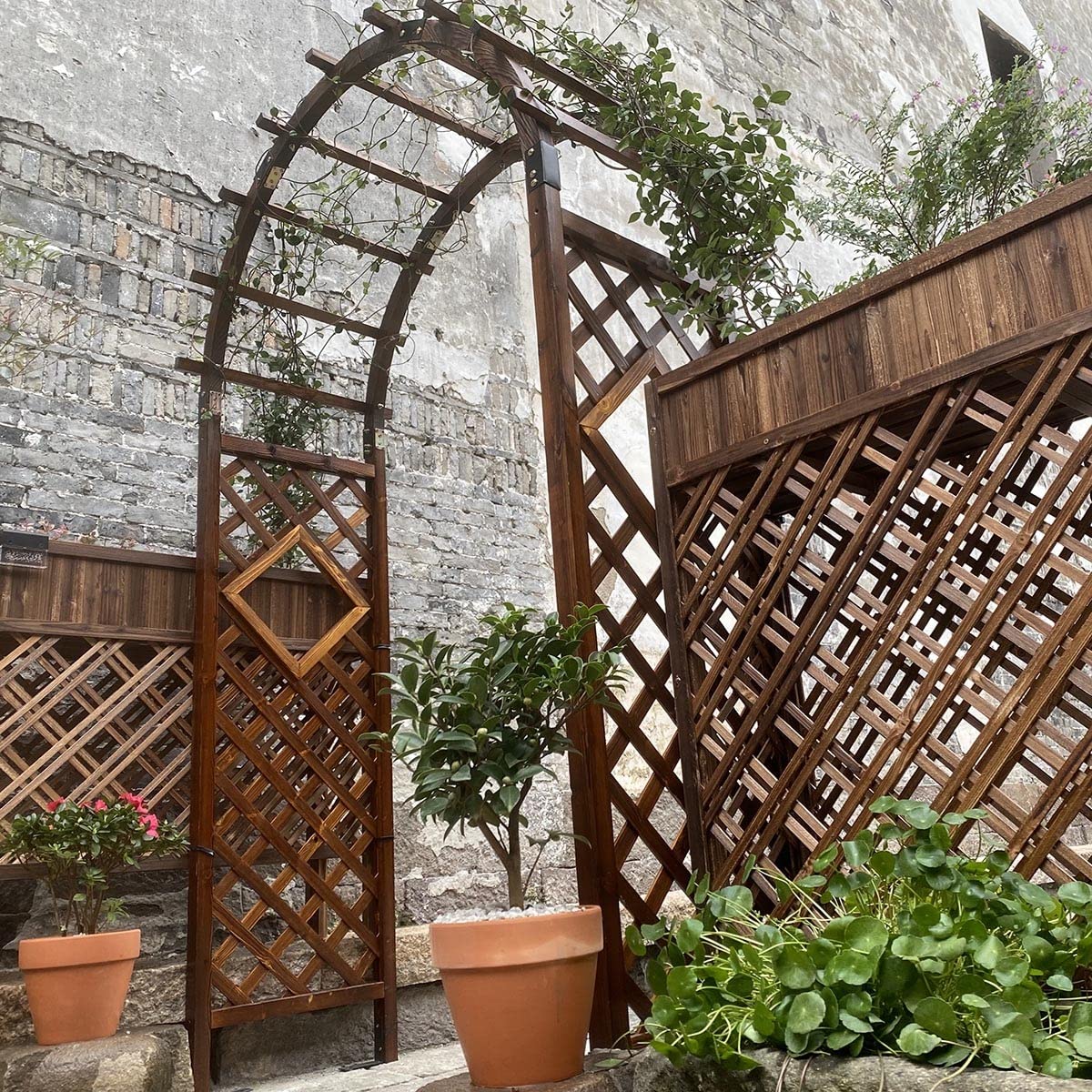 Amazon | 耐久性の ガーデンアーチ 木製 ローズ パーゴラアーチ