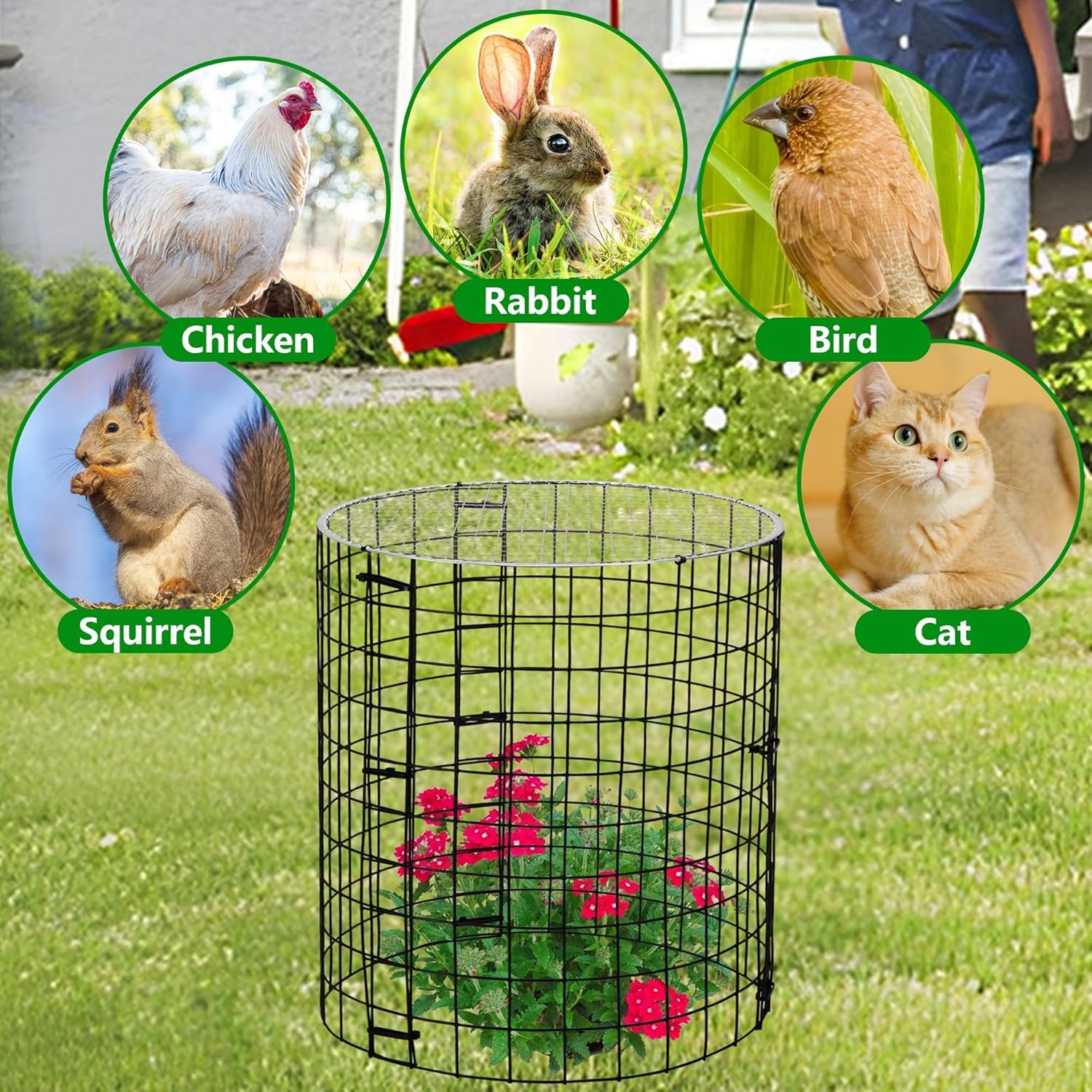 GIONAR Lot de 4 protecteurs de plantes en fil de fer avec housse - 30,5 x 27,9 cm - Cloches de protection de jardin contre les lapins, oiseaux, poules, écureuils, autres petits animaux