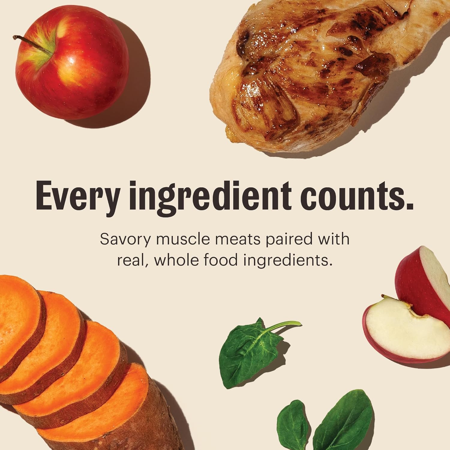 Nutrition Meets Flavor: Honest Kitchen