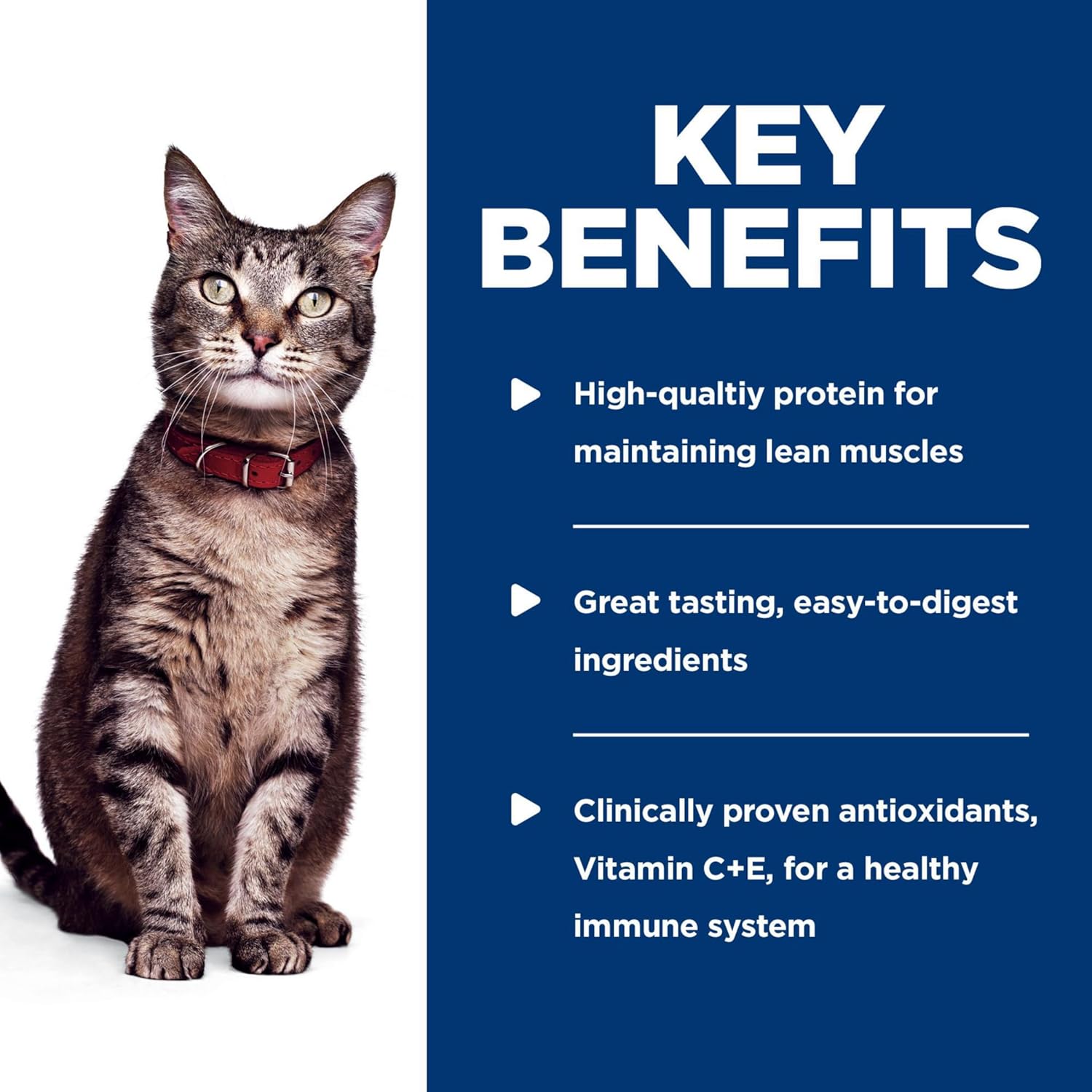 Hill's Science Diet Adult 1-6 Wet Cat Food, Turkey & Liver, 2.8 oz. Pouches, 24-Pack