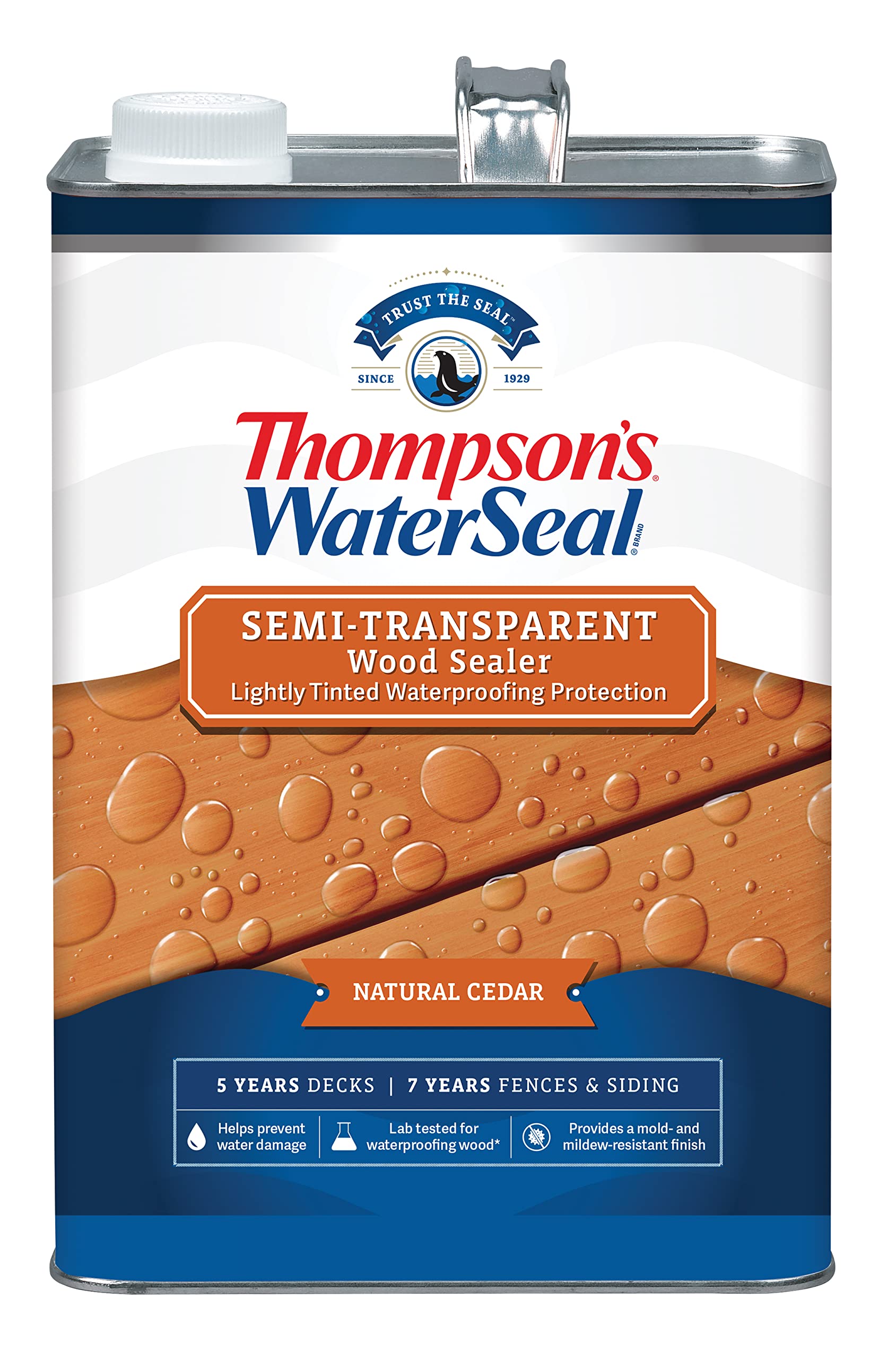 Thompson&rsquo;s WaterSeal Semi-Transparent Waterproofing Wood Stain