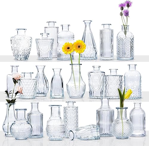 Ollieroo Juego de jarrones de cristal, 24 jarrones pequeños para arreglos florales, bonito jarrón a granel para decoración de mesa de centro de Ollieroo Juego de jarrones de cristal, 24 jarrones pequeños para arreglos florales, bonito jarrón a granel para decoración de mesa de centro de