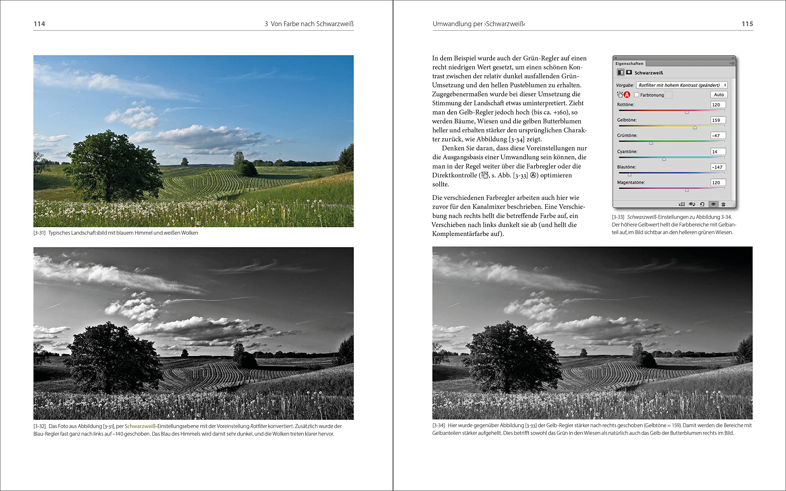 Monochrom: Schwarzweiß sehen, fotografieren, bearbeiten, drucken