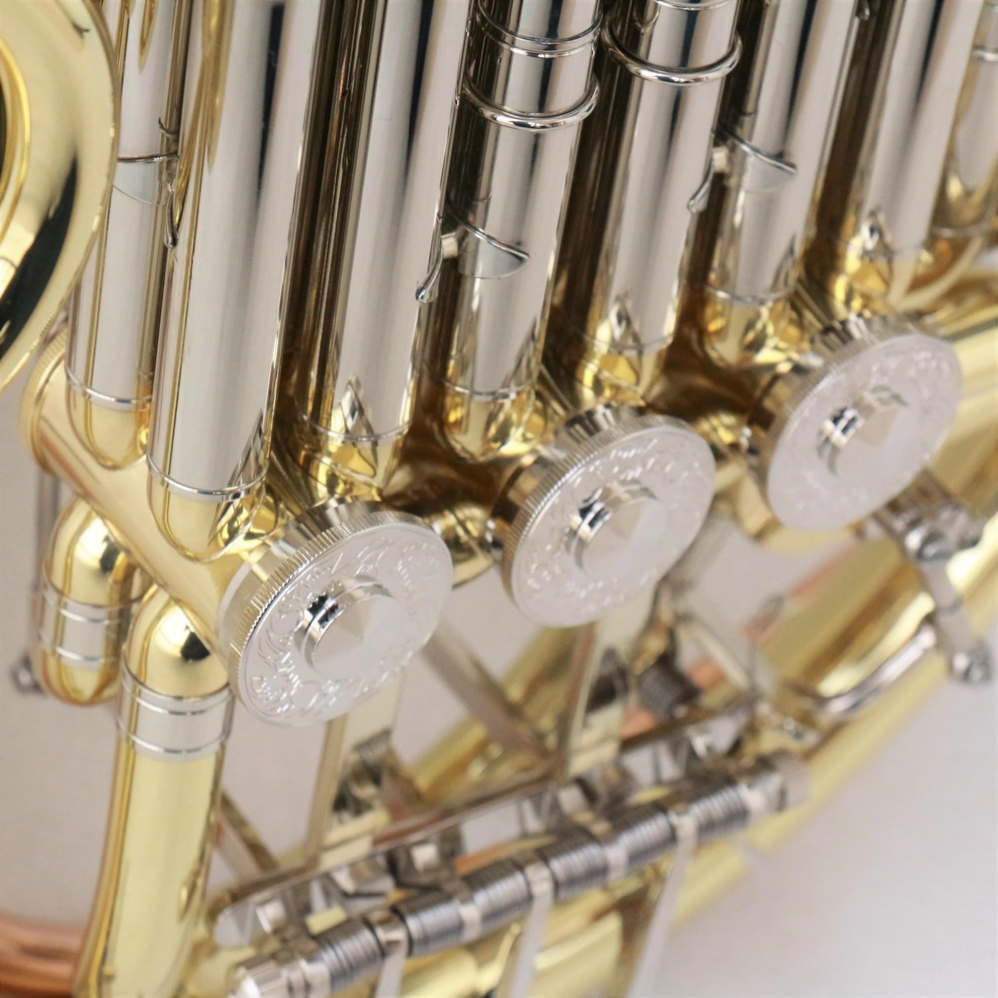 Amazon | 初心者 フレンチホルン プロフェッショナル ダブル フレンチ