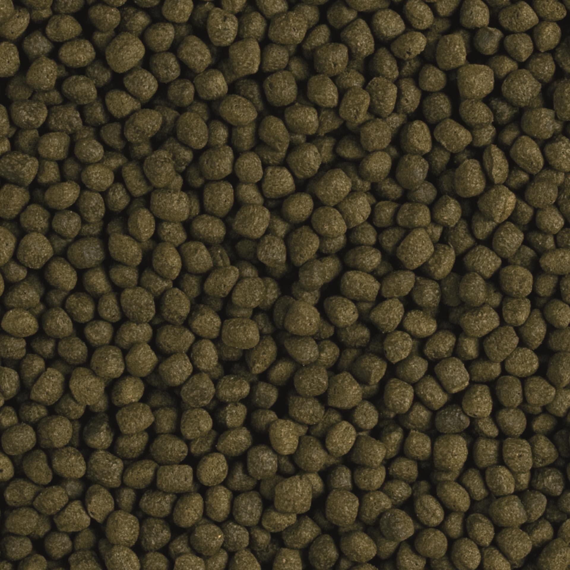 Flower Horn Adult Pellet 5L / 1,9kg - Nourriture rehaussant la Couleur pour flowerhorn et Autres cichlides