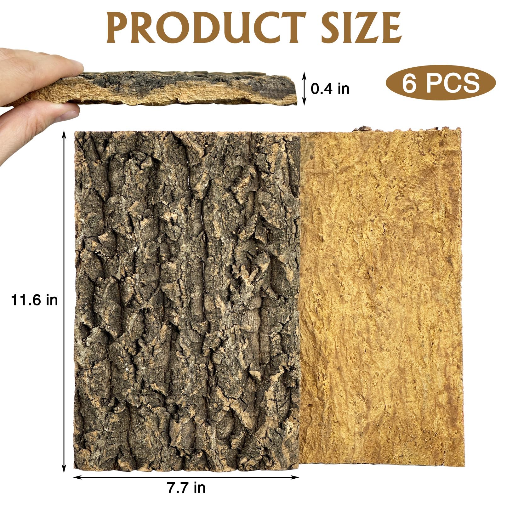 Fhiny Fondo de corteza de corcho natural 29,5 x 19,5 cm para reptiles, dragón barbudo, telón de fondo de terrario, decoración de pared para tortuga, geco, lagarto, serpiente, araña y rana, 6 piezas