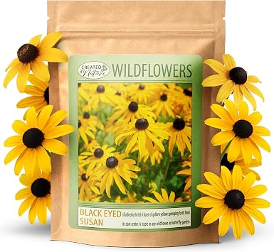 Black-Eyed Susan Seeds, Rudbeckia hirta, 55,000 Seeds, Covers 200 Sq Ft