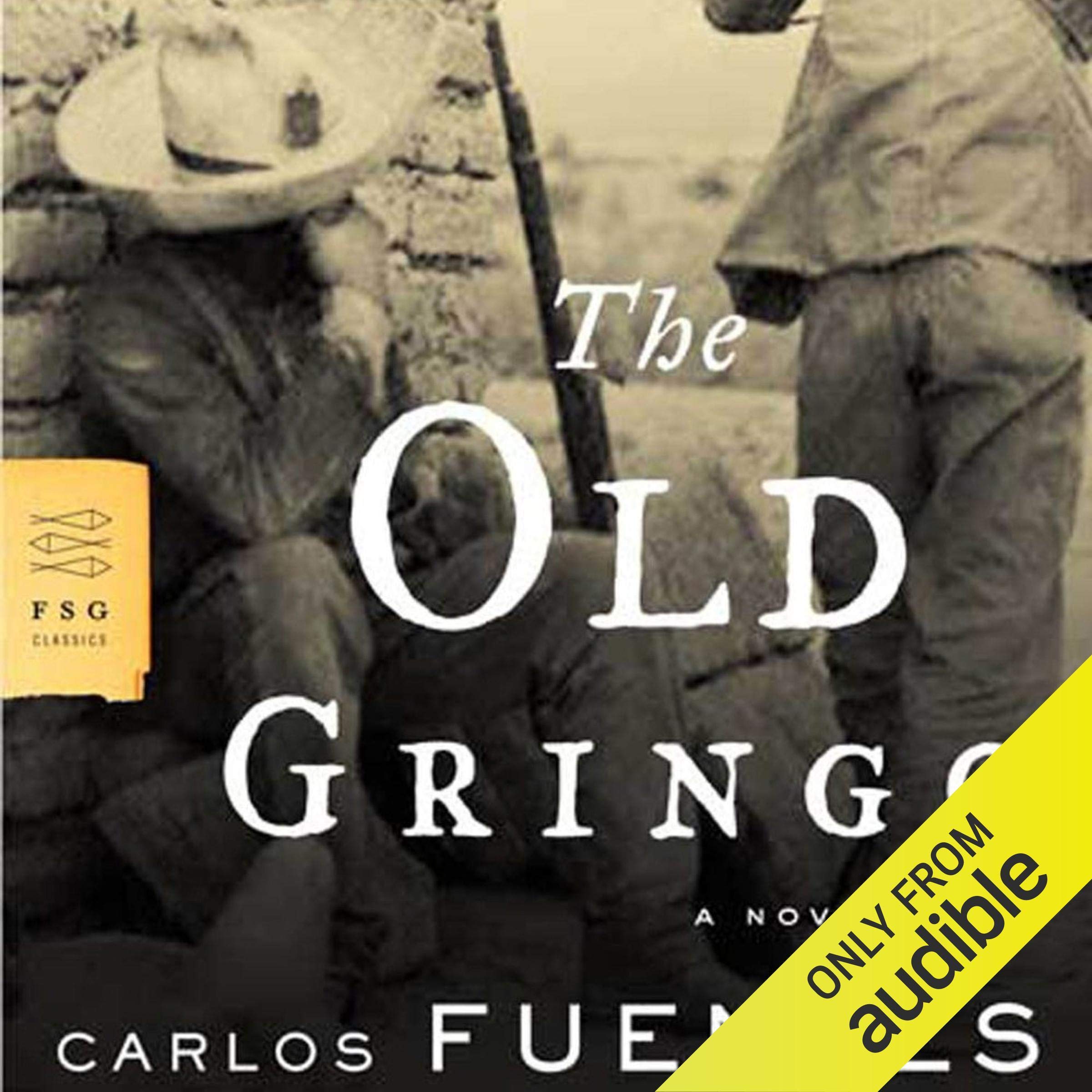 The Old Gringo: A Novel