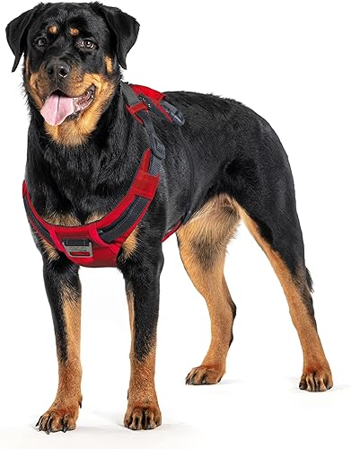Vista 14 de Outward Hound Boulder Adventure - Arnés ajustable para perro con bolsillos, turquesa, mediano
