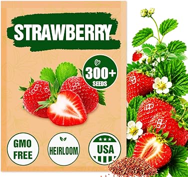 Rare Strawberry Seeds for Planting 300 Non-GMO Heirloom Seeds - Extra Big, Juicy, Sweet Strawberries