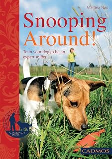Snooping Around: How to Encourage Your Dog's Sense of Smell
