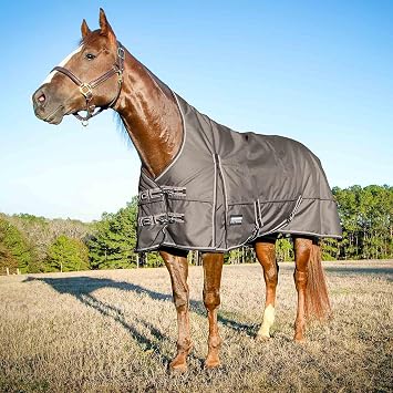 Jeffers Poplar Head Defense 1680 Denier Turnout Blanket with Extended Neck Design, Plymouth Brown 75"- 240g Polyfill, Waterproof, Breathable Horse Blanket, Ideal Protection for Winter, Medium Weight