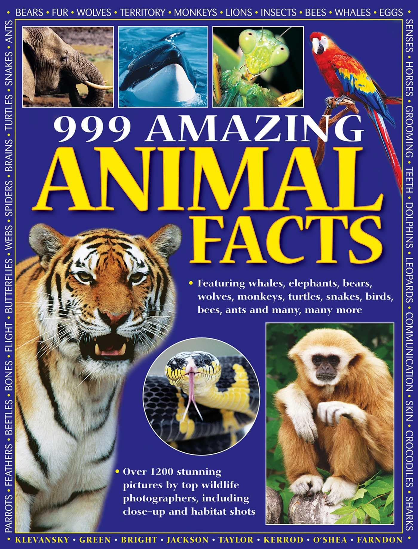 999 Amazing Animal Facts: Featuring Whales, Elephants, Bears, Wolves, Monkeys, Turtles, Snakes, Birds, Bees, Ants and Many, Many More Paperback – Illustrated, 21 Dec. 2015