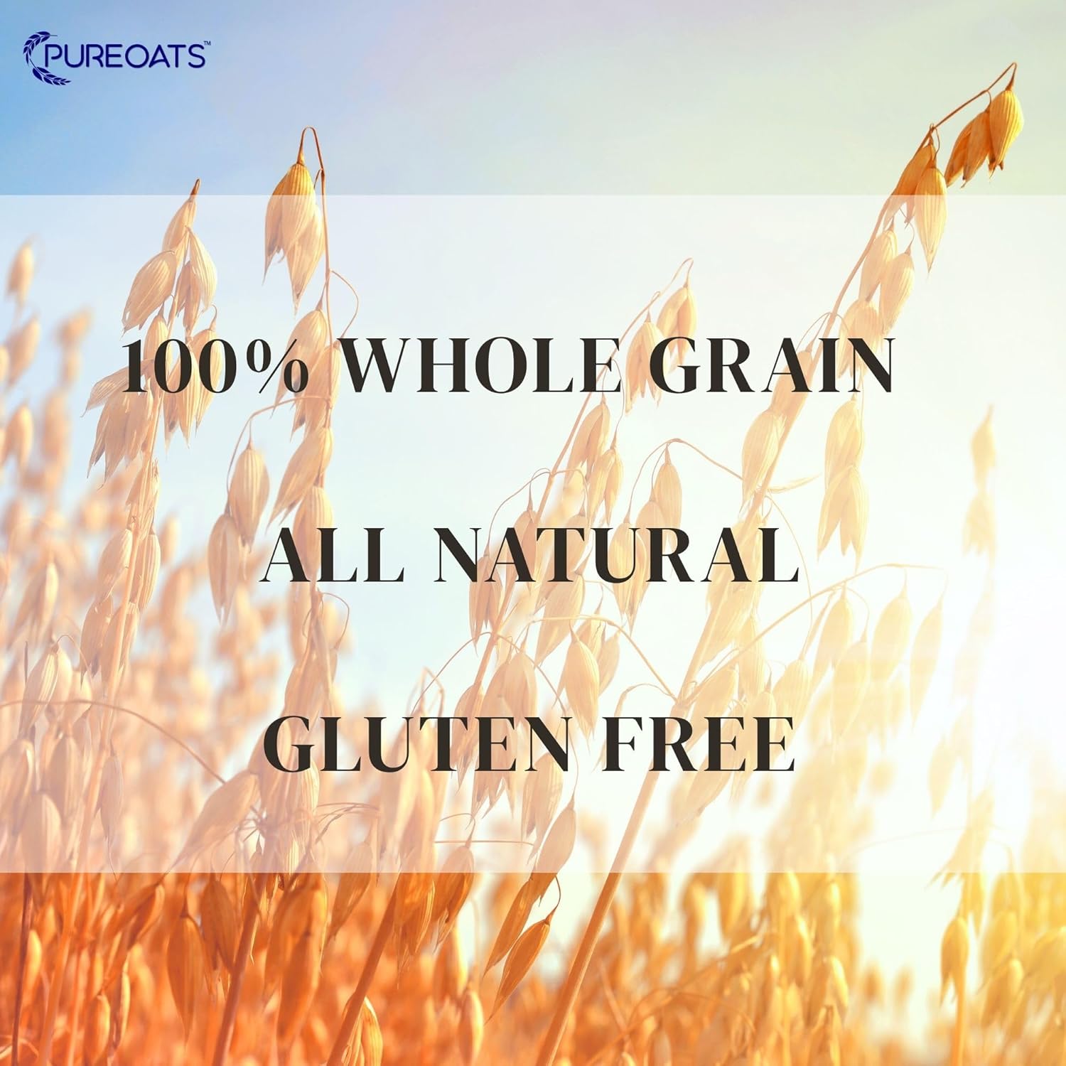 PureOats Gluten Free Rolled Oats, Whole Grain, 25 lb / 11.3 kg) Bulk Size Bag
