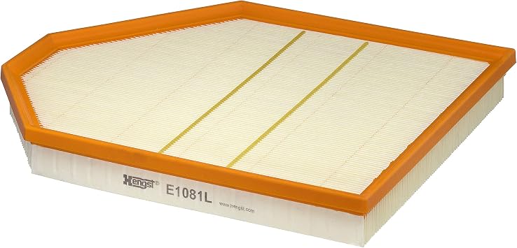 Hengst Air Filter