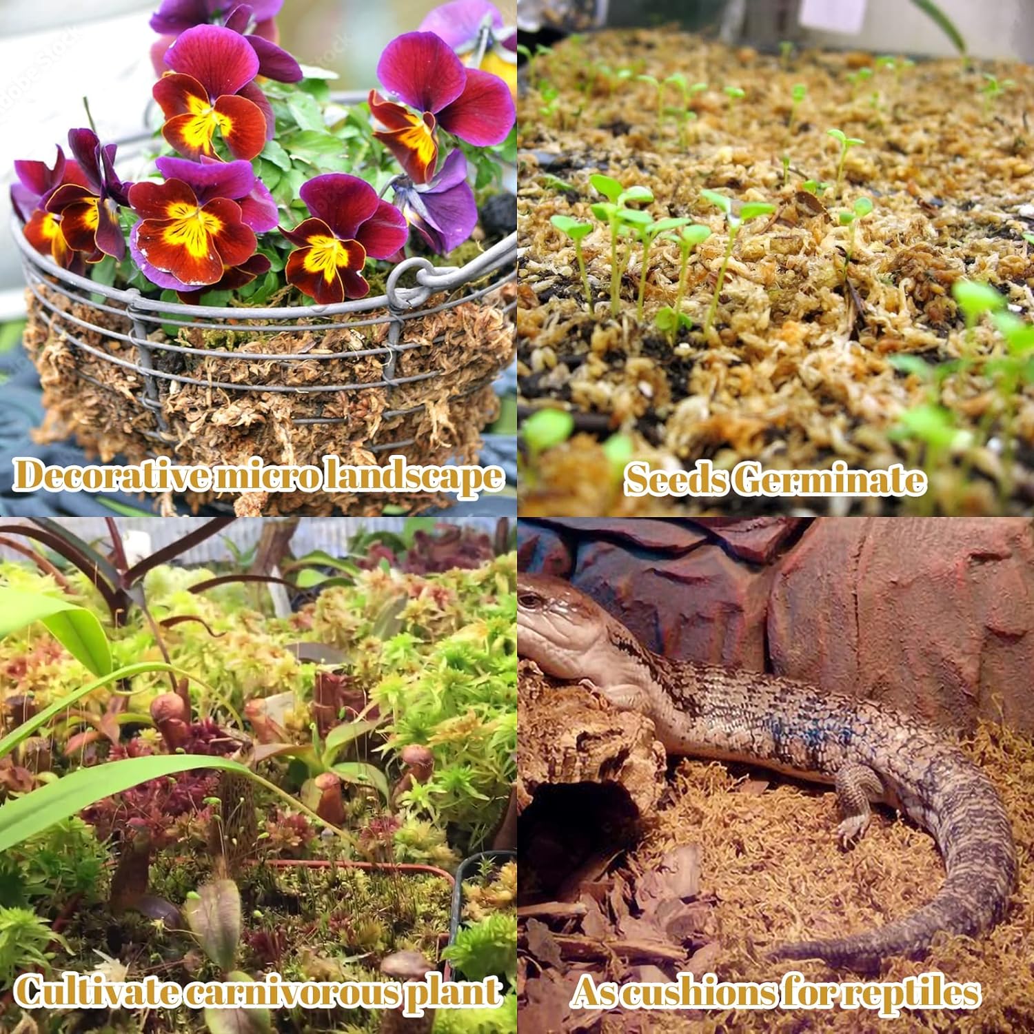 Legigo 2.2LBS Premium Sphagnum Moss for Plants- 40QT Natural Succulent Carnivorous Plant Moss Dried, Long Fiber Orchid Moss for Orchid Repotting Succulent Sarracenia Potted Plants Gardening & Reptiles