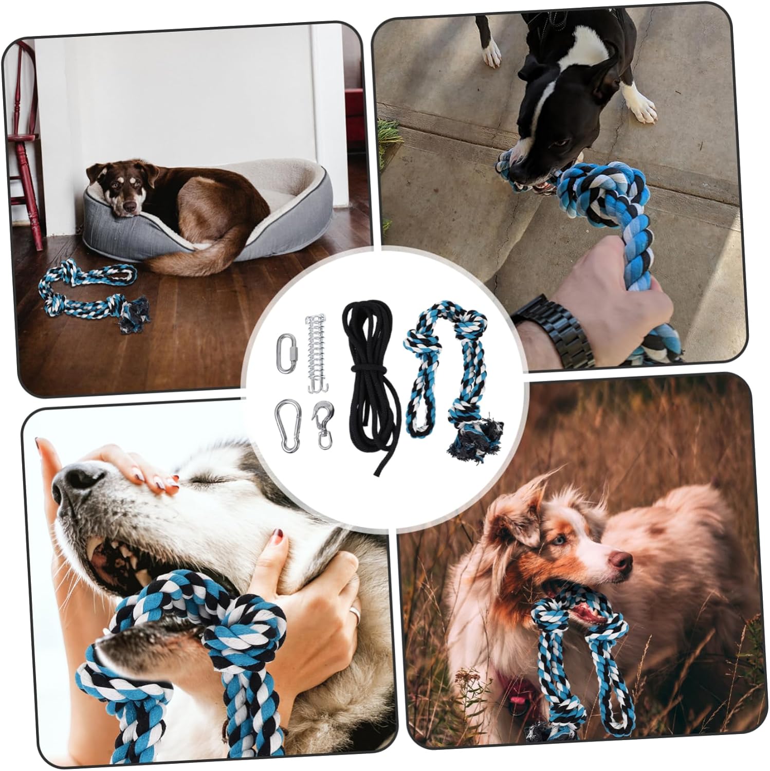 Stainless Steel Spring Pole Dog Exercise Rope with for Muscle Building Tugging Swinging Outdoor Pet Training