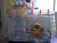 Review Image by Bradley Peterson Bradley Peterson